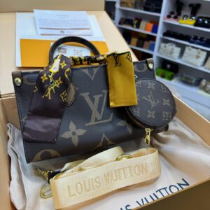 Louis Vuitton Bag