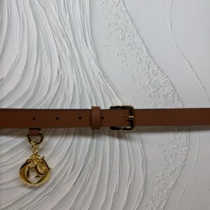 Dior belt