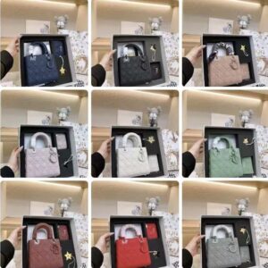 Package lady Dior Master