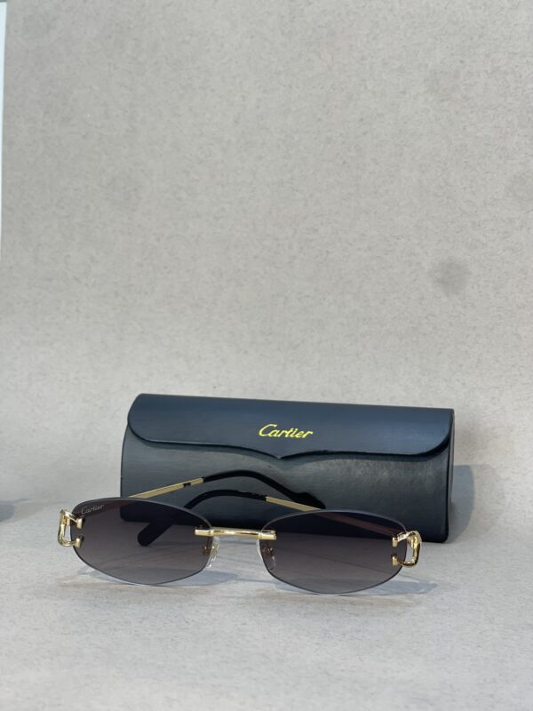Cartier sunglasses