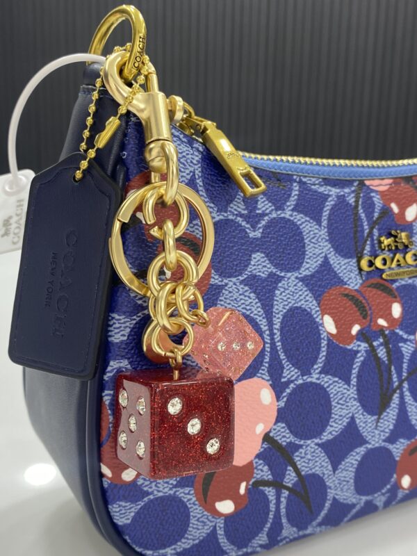 ⁦Coach Bag⁩ - الصورة ⁦13⁩