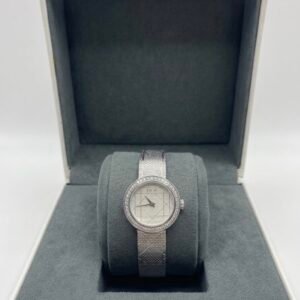 Dior watch