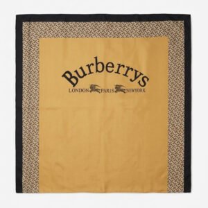 Burberry scarf