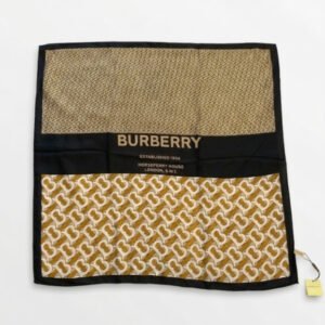 Burberry scarf